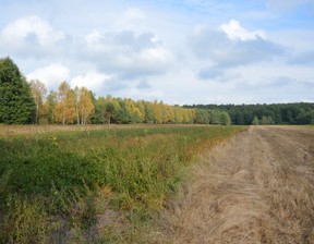 Działka na sprzedaż, Łęczyński Milejów Klarów, 95 000 zł, 10 918 m2, 1529/13924/OGS