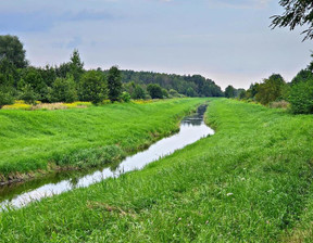 Rolny na sprzedaż, Łęczyński Ludwin Dąbrowa, 35 000 zł, 21 100 m2, 1072/13924/OGS