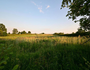 Działka na sprzedaż, Lubelski Jastków Panieńszczyzna, 590 000 zł, 5400 m2, 716/13924/OGS