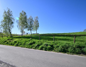 Działka na sprzedaż, Opolski Karczmiska Karczmiska Pierwsze, 100 000 zł, 3500 m2, 902/13924/OGS