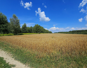 Działka na sprzedaż, Opolski Karczmiska Karczmiska Drugie, 45 000 zł, 3342 m2, 1480/13924/OGS