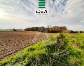 Rolny na sprzedaż, Bydgoski Dąbrowa Chełmińska Ostromecko, 227 000 zł, 4125 m2, IDE-GS-12247