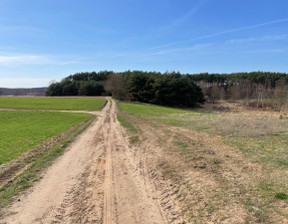 Działka na sprzedaż, Międzychodzki Międzychód Łowyń, 340 000 zł, 7200 m2, 115220006