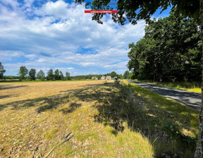 Działka na sprzedaż, Czarnkowsko-Trzcianecki Trzcianka Biernatowo, 83 000 zł, 2462 m2, FCZ-GS-197221