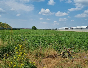 Działka na sprzedaż, Poznański (pow.) Swarzędz (gm.) Rabowice, 1 582 000 zł, 6330 m2, 132