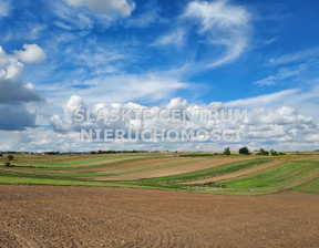 Rolny na sprzedaż, Krakowski Skała Szczodrkowice Marianów, 125 000 zł, 8100 m2, SCN-GS-1847-7