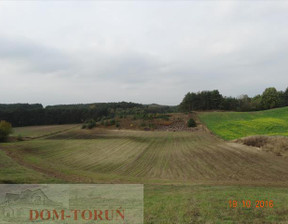 Rolny na sprzedaż, Toruński Czernikowo, 805 000 zł, 22 800 m2, 2638