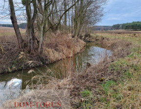 Działka na sprzedaż, Golubsko-Dobrzyński Kowalewo Pomorskie Pruska Łąka, 300 000 zł, 12 400 m2, 2724