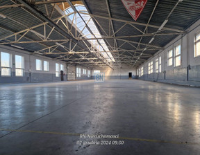 Hala do wynajęcia, Gliwicki Pyskowice, 23 760 zł, 1080 m2, 1530