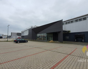 Lokal do wynajęcia, Olsztyn Żelazna, 24 651 zł, 913 m2, 1070/6682/OOW