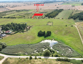 Rolny na sprzedaż, Policki Kołbaskowo Stobno, 120 000 zł, 3000 m2, ELT32104