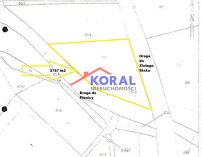 Działka na sprzedaż, Ząbkowicki Złoty Stok Płonica Płonica, 95 000 zł, 3757 m2, 68540079