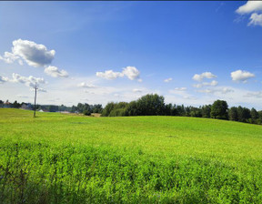 Działka na sprzedaż, Wołowno, 68 000 zł, 9900 m2, 16420/00701S/2024