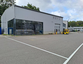 Magazyn do wynajęcia, Gdański Pruszcz Gdański Straszyn Starogardzka, 10 000 zł, 270 m2, GB06238