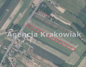 Działka na sprzedaż, Krakowski Zerwana, 3 080 000 zł, 14 000 m2, GS-5306