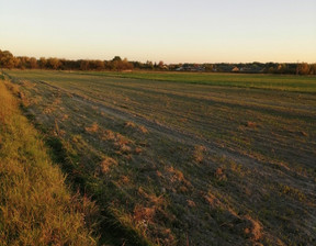 Działka na sprzedaż, Kozienicki Grabów Nad Pilicą Paprotnia, 125 000 zł, 5300 m2, 4054/1989/OGS