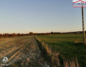 Rolny na sprzedaż, Kozienicki Grabów Nad Pilicą Paprotnia, 125 000 zł, 5300 m2, 4054/1989/OGS