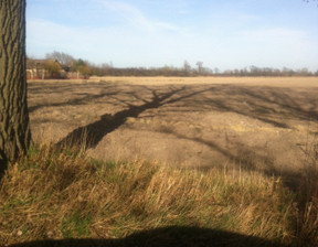 Działka na sprzedaż, Grodziski Baranów Żaby, 1 350 000 zł, 18 000 m2, 3944/1989/OGS