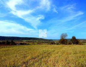 Działka na sprzedaż, Przemyski Krzywcza, 45 000 zł, 900 m2, 2038/5738/OGS