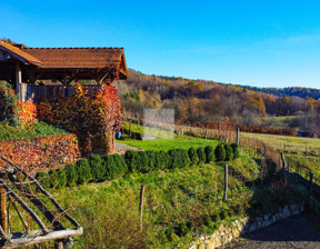 Lokal gastronomiczny na sprzedaż, Sanocki Sanok Dobra, 780 000 zł, 60 m2, 206/5738/OOS