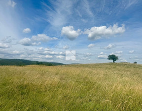 Działka na sprzedaż, Przemyski Fredropol Makowa, 65 000 zł, 12 500 m2, 2007/5738/OGS