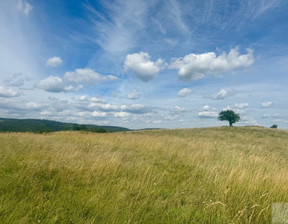 Działka na sprzedaż, Przemyski Fredropol Makowa, 65 000 zł, 12 500 m2, 2007/5738/OGS