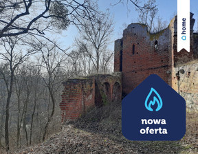 Działka na sprzedaż, Grudziądzki Gruta Pokrzywno, 999 000 euro (4 305 690 zł), 84 200 m2, 245/14016/OGS