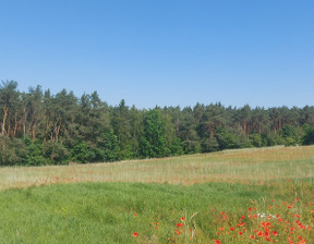 Działka na sprzedaż, Włocławski Fabianki Nowy Witoszyn, 249 000 zł, 3637 m2, 309/14016/OGS