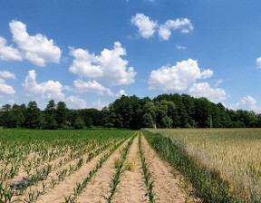 Działka na sprzedaż, Toruński Zławieś Wielka Zarośle Cienkie, 177 177 zł, 3003 m2, 135/14016/OGS