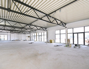 Lokal do wynajęcia, Łódź Łódź-Polesie, 44 200 zł, 680 m2, 2244/9887/OLW