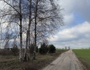 Działka na sprzedaż, Gnieźnieński Gniezno Wierzbiczany, 790 000 zł, 11 245 m2, 63/15909/OGS