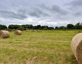 Rolny na sprzedaż, Świecki Nowe Mały Komorsk Mały Komorsk, 30 000 zł, 2900 m2, FF03334