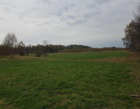 Rolny na sprzedaż, Kartuski (pow.) Somonino (gm.) Borcz, 38 528 zł, 3560 m2, 482