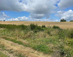 Działka na sprzedaż, Chełmski Wojsławice Majdan Kukawiecki, 13 927 zł, 15 800 m2, INTR-GS-126