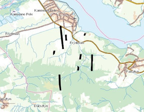 Działka na sprzedaż, Nowotarski Łapsze Niżne Frydman, 187 950 zł, 21 936 m2, INTR-GS-237