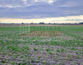 Działka na sprzedaż, Opole Grotowice, 1 070 000 zł, 5197 m2, 15860