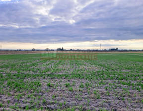 Działka na sprzedaż, Opole Grotowice, 980 000 zł, 5197 m2, 15860