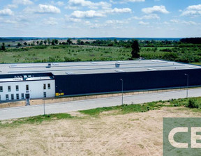 Magazyn, hala do wynajęcia, Nowosolski Kożuchów, 21 000 euro (89 460 zł), 6000 m2, 309/3508/OHW