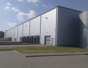 Magazyn, hala do wynajęcia, Wrzesiński Września, 37 500 zł, 1500 m2, 476/3508/OHW