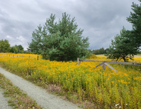 Działka na sprzedaż, Oleśnicki Dobroszyce Białe Błoto Dereniowa, 199 000 zł, 1500 m2, 822/13397/OGS