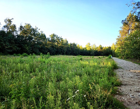 Działka na sprzedaż, Łódź Kolumny, 260 000 zł, 1000 m2, 558/13397/OGS