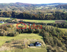 Działka na sprzedaż, Sanocki (Pow.) Zagórz (Gm.) Czaszyn, 110 000 zł, 3832 m2, 199