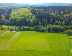 Działka na sprzedaż, Brzozowski Nozdrzec Izdebki, 420 084 zł, 10 002 m2, 295