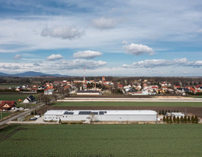 Magazyn na sprzedaż, Strzeliński Borów, 3 950 000 zł, 1522 m2, IGM-HS-19407-2