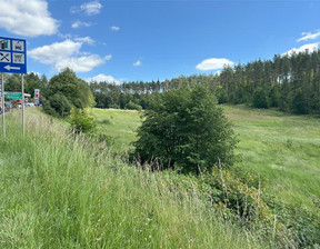 Działka do wynajęcia, Kartuski Przodkowo Kobysewo Przodkowska, 30 000 zł, 25 000 m2, WJ03300