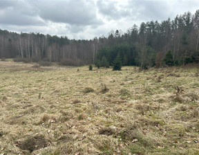 Rolny na sprzedaż, Wejherowski Bieszkowice Piekiełko, 499 000 zł, 46 000 m2, WJ03287
