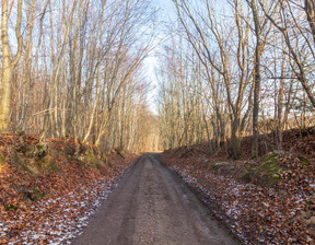 Działka na sprzedaż, Kartuski Żukowo Łapino Kartuskie Rdestowa, 274 550 zł, 1445 m2, OR016736