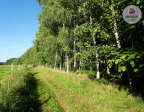 Działka na sprzedaż, Olsztyński Orzechowo, 101 500 zł, 4059 m2, 14598034