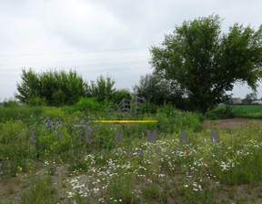 Działka na sprzedaż, Pabianicki Pabianice Piątkowisko, 568 000 zł, 2581 m2, 770057