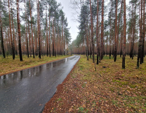 Leśne na sprzedaż, Tarnogórski Krupski Młyn Potępa, 1 350 000 zł, 67 800 m2, LFT-GS-1010